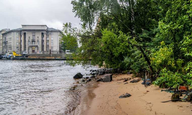 В Петербурге ради строительства дороги вырубят парк «Заросли»